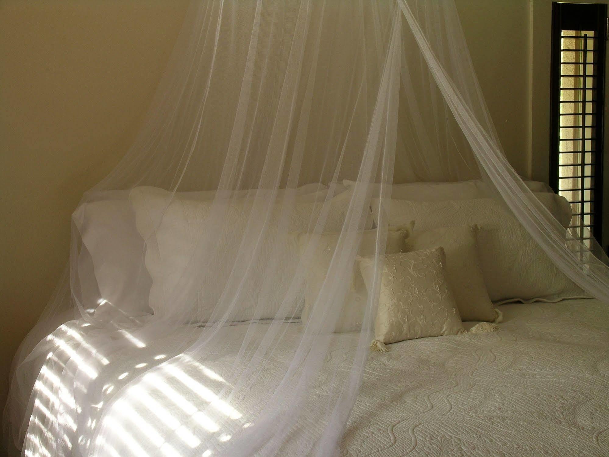 Plantation House Bed & Breakfast Port Hope Eksteriør billede